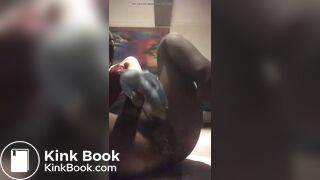 SCAT - Sexy girls Pooping 15