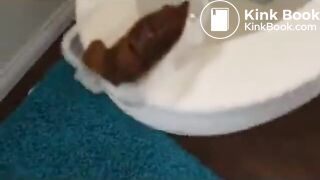 SCAT - Sexy girls Pooping 15