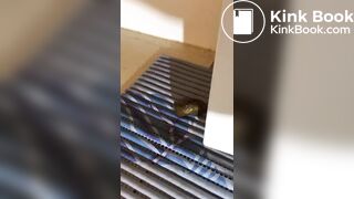 SCAT - Sexy girls Pooping 16