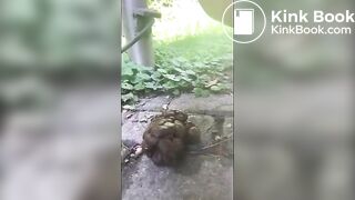 SCAT - Sexy girls Pooping 25