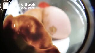 SCAT - Sexy girls Pooping 24