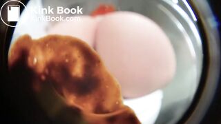 SCAT - Sexy girls Pooping 24