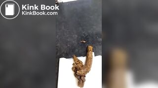 SCAT - Sexy girls Pooping 26