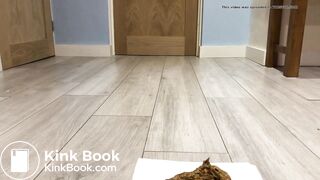 SCAT - Sexy girls Pooping 22