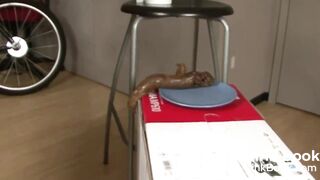 SCAT - Sexy girls Pooping 21