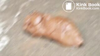 SCAT - Sexy girls Pooping 26