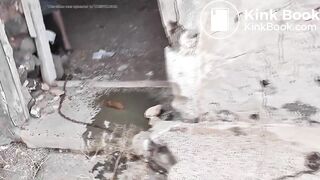 SCAT - Sexy girls Pooping 26