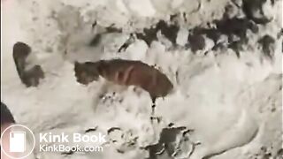 SCAT - Sexy girls Pooping 20