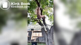 SCAT - Sexy girls Pooping 26