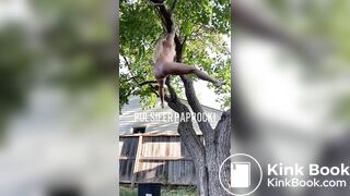 SCAT - Sexy girls Pooping 26