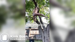 SCAT - Sexy girls Pooping 26