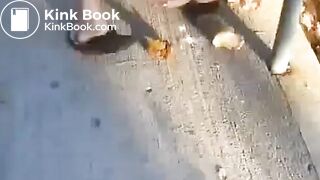 SCAT - Sexy girls Pooping 20