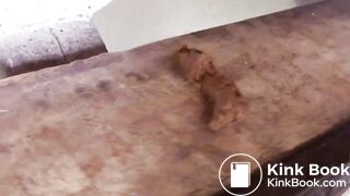 SCAT - Sexy girls Pooping 22