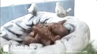 SCAT - Sexy girls Pooping 28