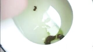 SCAT - Sexy girls Pooping 29
