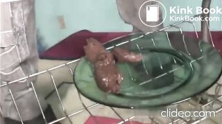 SCAT - Sexy girls Pooping 30
