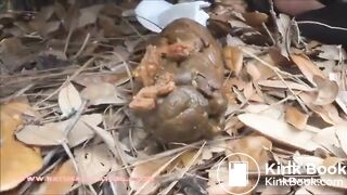 SCAT - Sexy girls Pooping 32