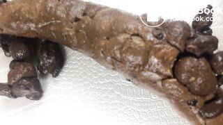 SCAT - Sexy girls Pooping 31