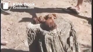 SCAT - Sexy girls Pooping 36