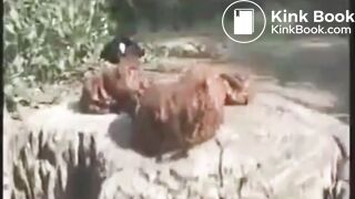 SCAT - Sexy girls Pooping 36