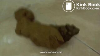 SCAT - Sexy girls Pooping 27