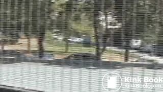 SCAT - Sexy girls Pooping 29