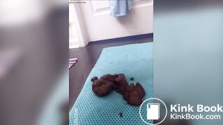 SCAT - Sexy girls Pooping 36