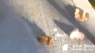 SCAT - Sexy girls Pooping 36