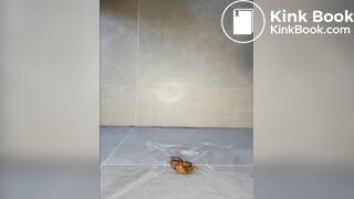 SCAT - Sexy girls Pooping 37