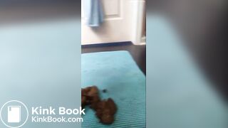 SCAT - Sexy girls Pooping 38