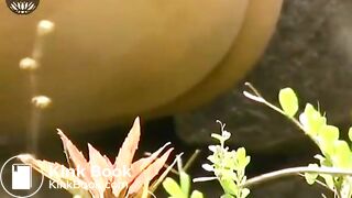 SCAT - Sexy girls Pooping 32