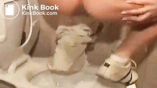 SCAT - Sexy girls Pooping 33