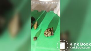 SCAT - Sexy girls Pooping 36