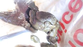 SCAT - Sexy girls Pooping 36