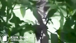 SCAT - Sexy girls Pooping 45