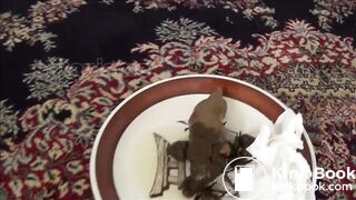 SCAT - Sexy girls Pooping 44