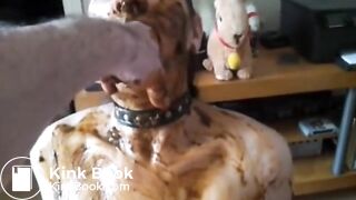 MY SISTER EATS DADDYS POO SOUP