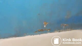 SCAT - Sexy girls Pooping 42