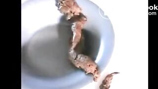 SCAT - Sexy girls Pooping 43