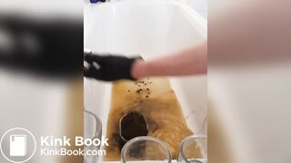 Mein erstes Mal mit Kuhscheisse