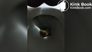 SCAT - Sexy girls Pooping 38
