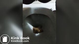 SCAT - Sexy girls Pooping 38