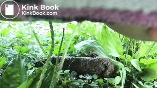 SCAT - Sexy girls Pooping 43