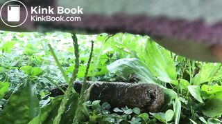 SCAT - Sexy girls Pooping 43