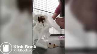 SCAT - Sexy girls Pooping 34