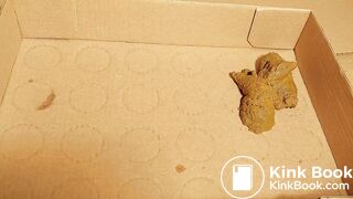 sexy chinese feet full of dog scat in pantyhose 7