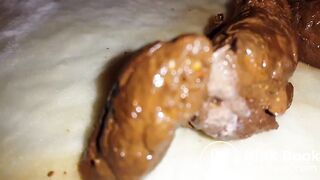 Perfect scat