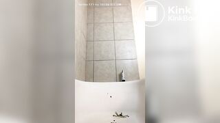 Nigger sluts n nigger tranny freaks n niggerscat