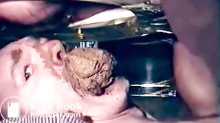horny feeding