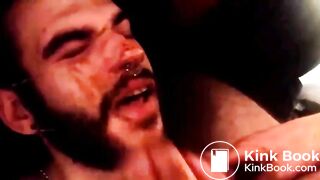 toilet pig eats and drinks